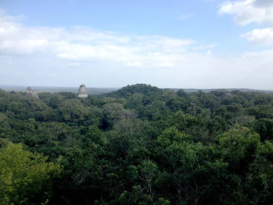 From San Ignacio: Tikal Maya Site Day-Trip with Local Lunch - Entering Tikal National Park