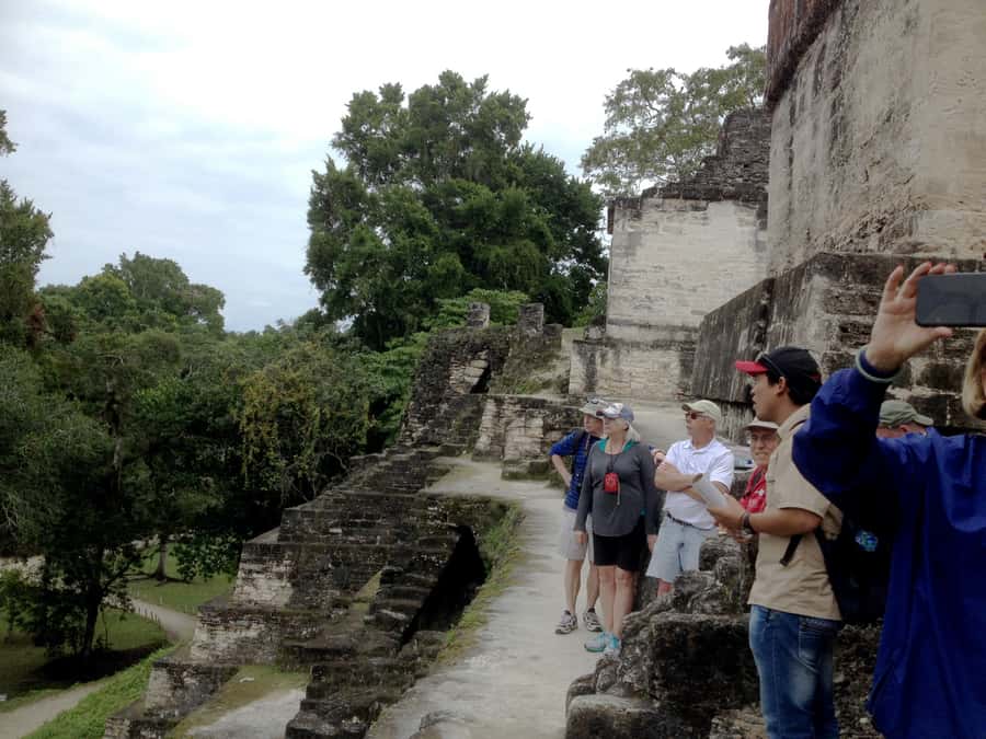 From San Ignacio: Tikal Maya Site Day-Trip with Local Lunch - Wildlife in the jungle around the ruins