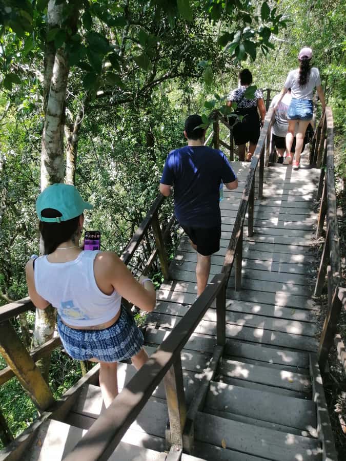 Impressive Tikal from Flores with Lunch - Who will enjoy this Tikal tour most?
