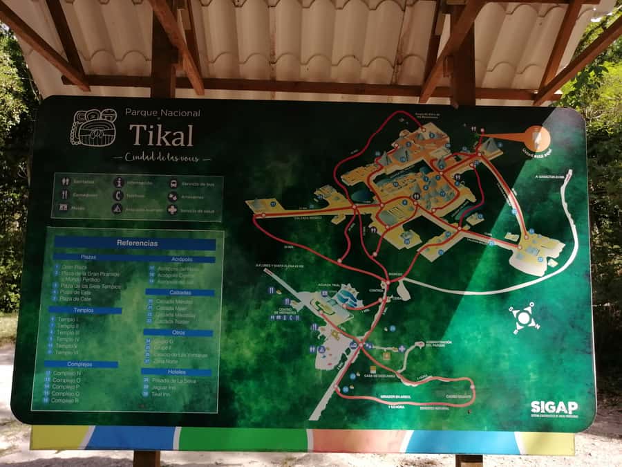 Impressive Tikal from Flores with Lunch - Why Tikal deserves a full morning