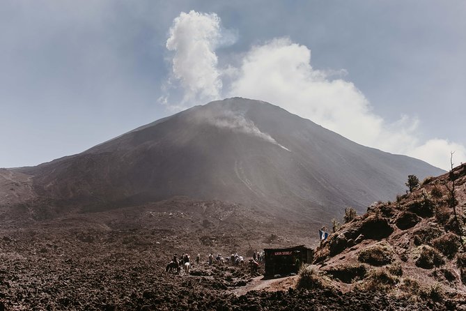 Pacaya Volcano Shared Hiking Tour - What the Pacaya day is really like