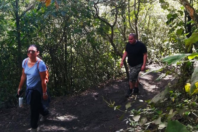 Pacaya Volcano Tour and Hot Springs from Guatemala City - Lava views and safety at an active volcano