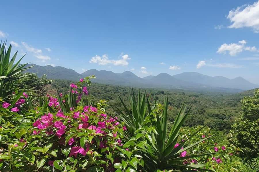 San Salvador: Full Day Ruta de Las Flores and Coffee Farm - Why this route is worth your day
