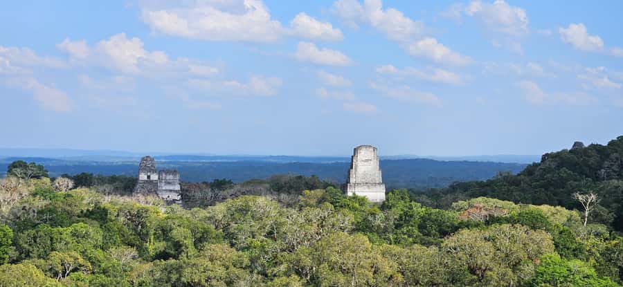 Tikal from Hotel Camino Real El Remate - All Inclusive - Entering Tikal through its ancient city plan