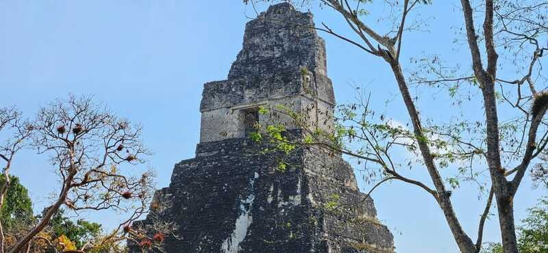 Tikal from Hotel Camino Real El Remate - All Inclusive - Who should book this Tikal tour