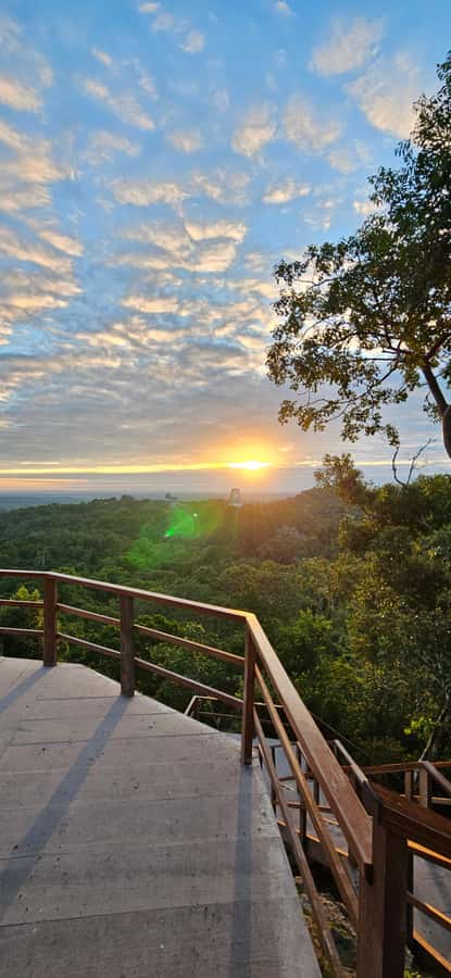 Tikal Group Tour Transportation, Guide plus Lunch - Key points to know before booking
