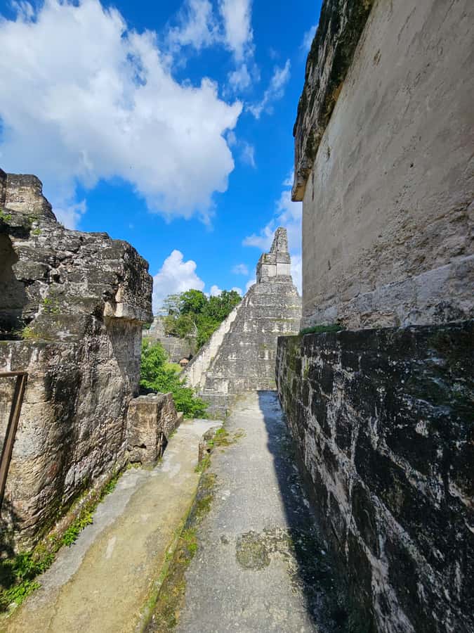 Tikal Group Tour Transportation, Guide plus Lunch - Why this Tikal tour works well as a full-day plan