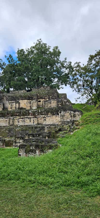 Tikal Group Tour Transportation, Guide plus Lunch - Entering Tikal and getting oriented