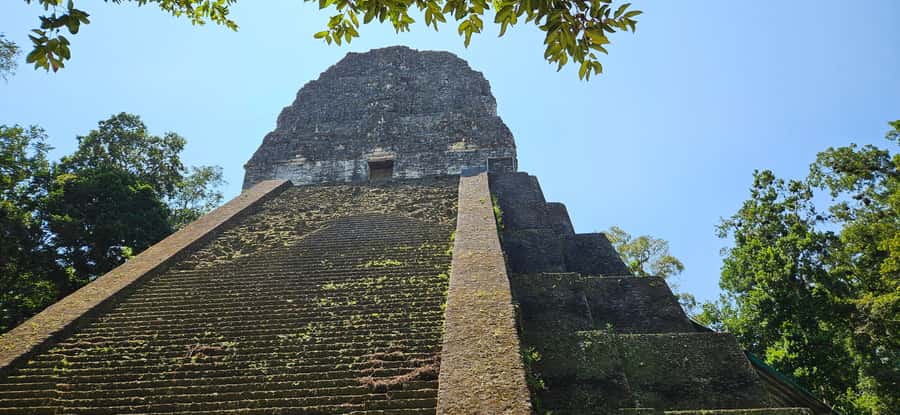 Tikal Group Tour Transportation, Guide plus Lunch - Walking the causeways, plazas, and forest trails