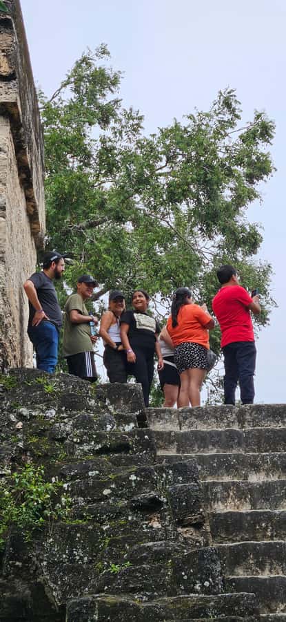 Tikal Group Tour Transportation, Guide plus Lunch - Early pickup from Flores, El Remate, or the airport