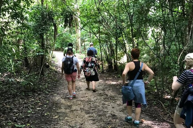 Tikal Private Day Tour Maya Adventure from Flores - Temple I and the Great Plaza