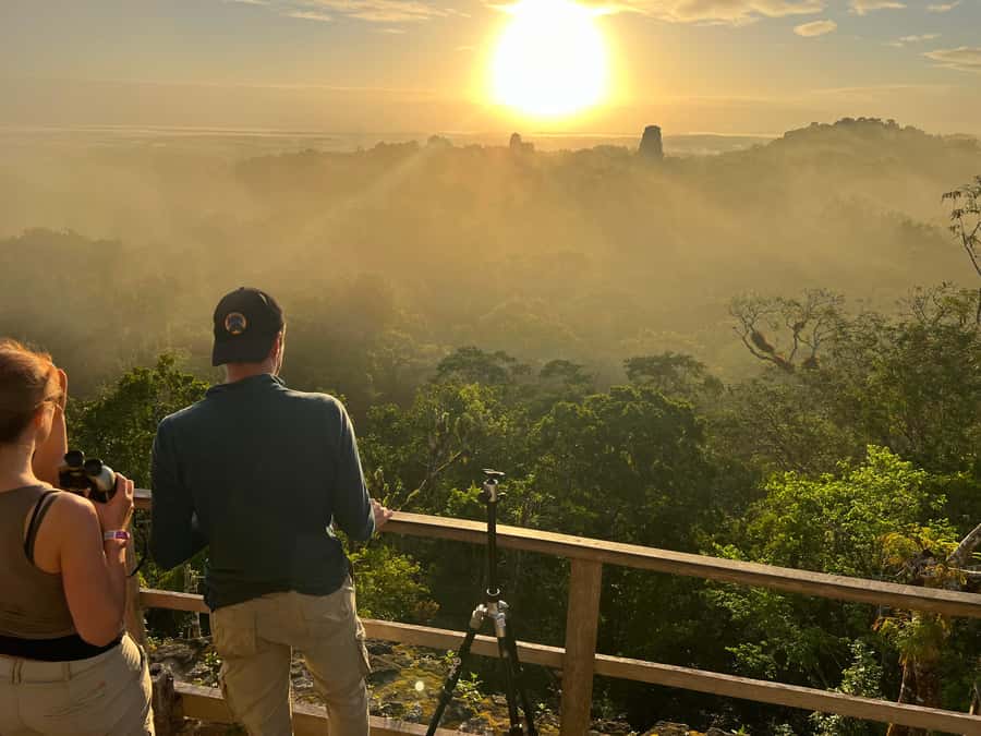 Tikal Sunrise, Archeological focus and Wildlife Spotting - Key points to know before booking