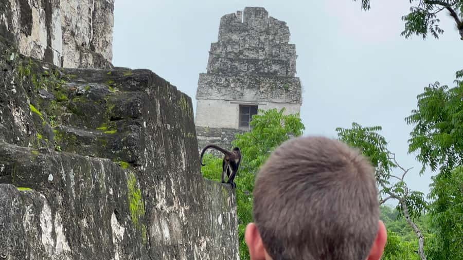 Tikal Sunrise, Archeological focus and Wildlife Spotting - Central Acropolis and the business of royal life
