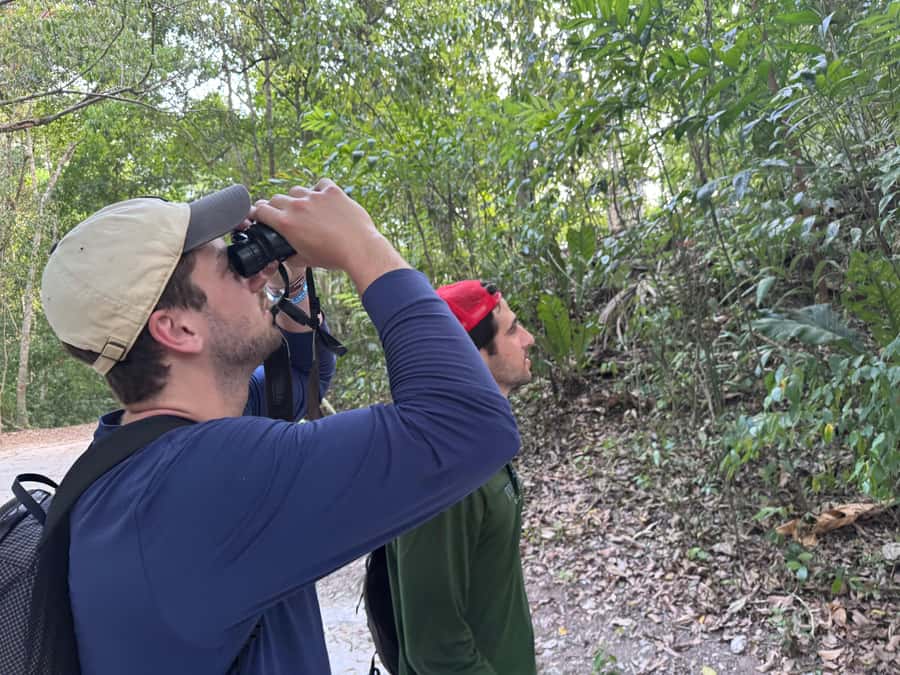 Tikal Sunset, Archeological focus and Wildlife Spotting - A long day from your hotel to the Tikal forest
