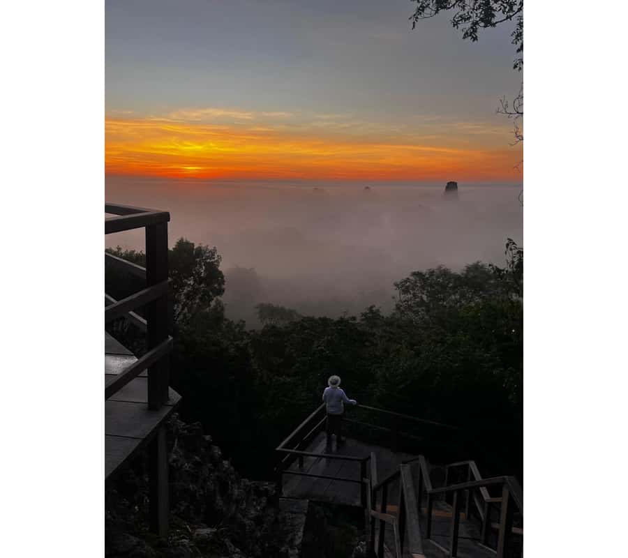 Tikal Sunset Experience: Archaeological Tour + Sunset Views - From Flores or El Remate to the park