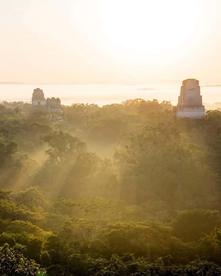 Tour and transportation with tour guide to Tikal. - Key points to know before booking