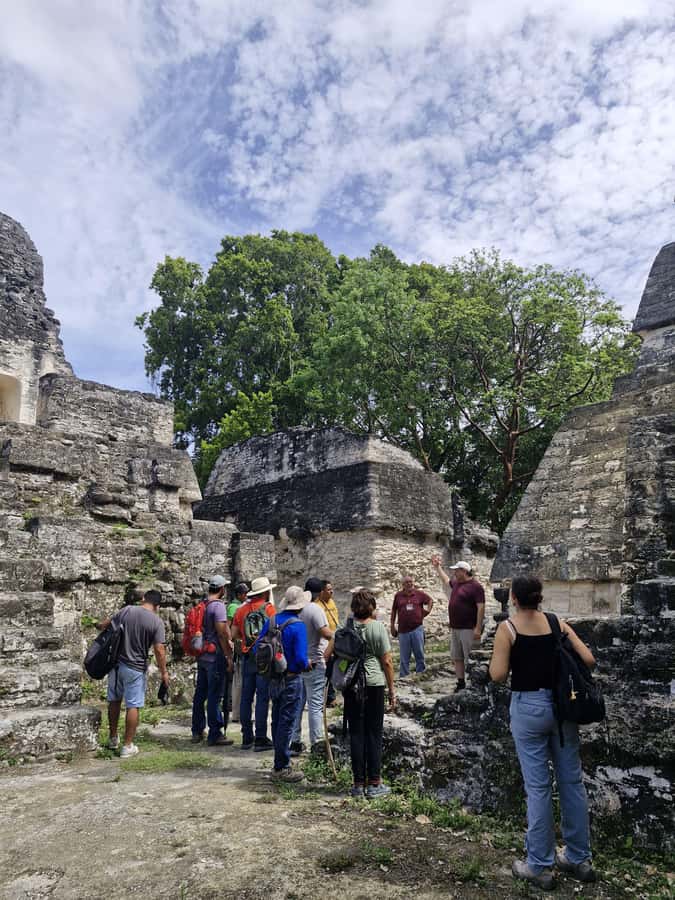 Tour and transportation with tour guide to Tikal. - How the guide affects the experience