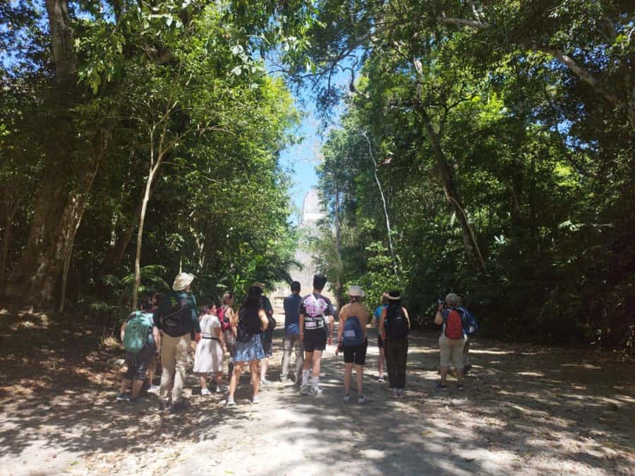 Tour to Tikal: from Mundo Maya Airport in Flores - Temple 4 and the view above the trees