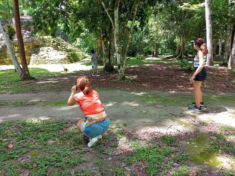Tour to Tikal: from Mundo Maya Airport in Flores - Lunch, free time, and the return journey